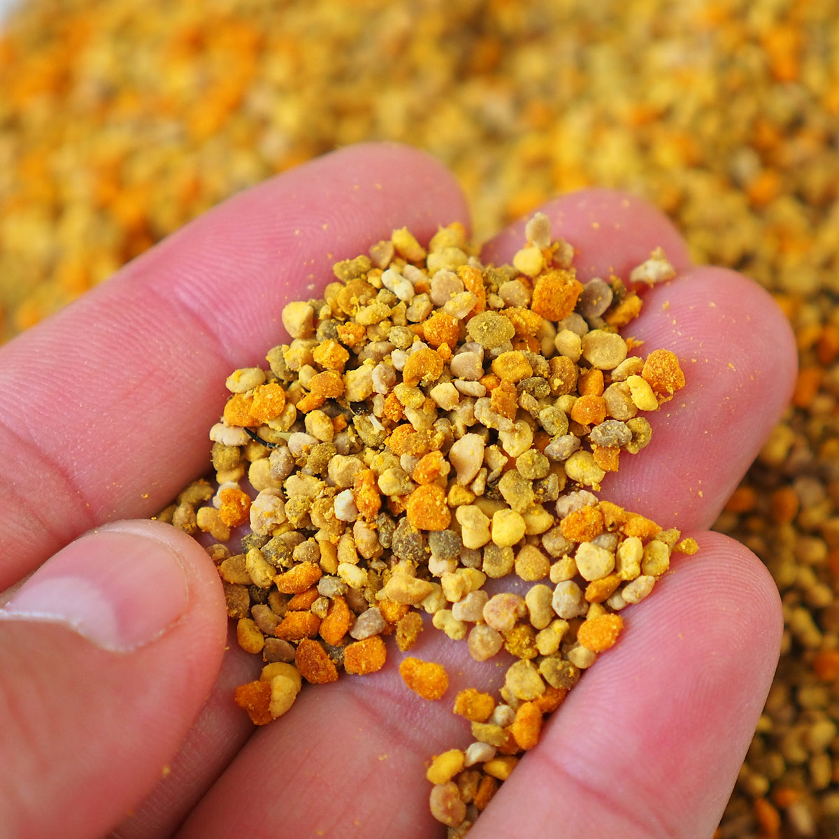 Mannavita sušený vícekvětový včelí pyl • 500 g