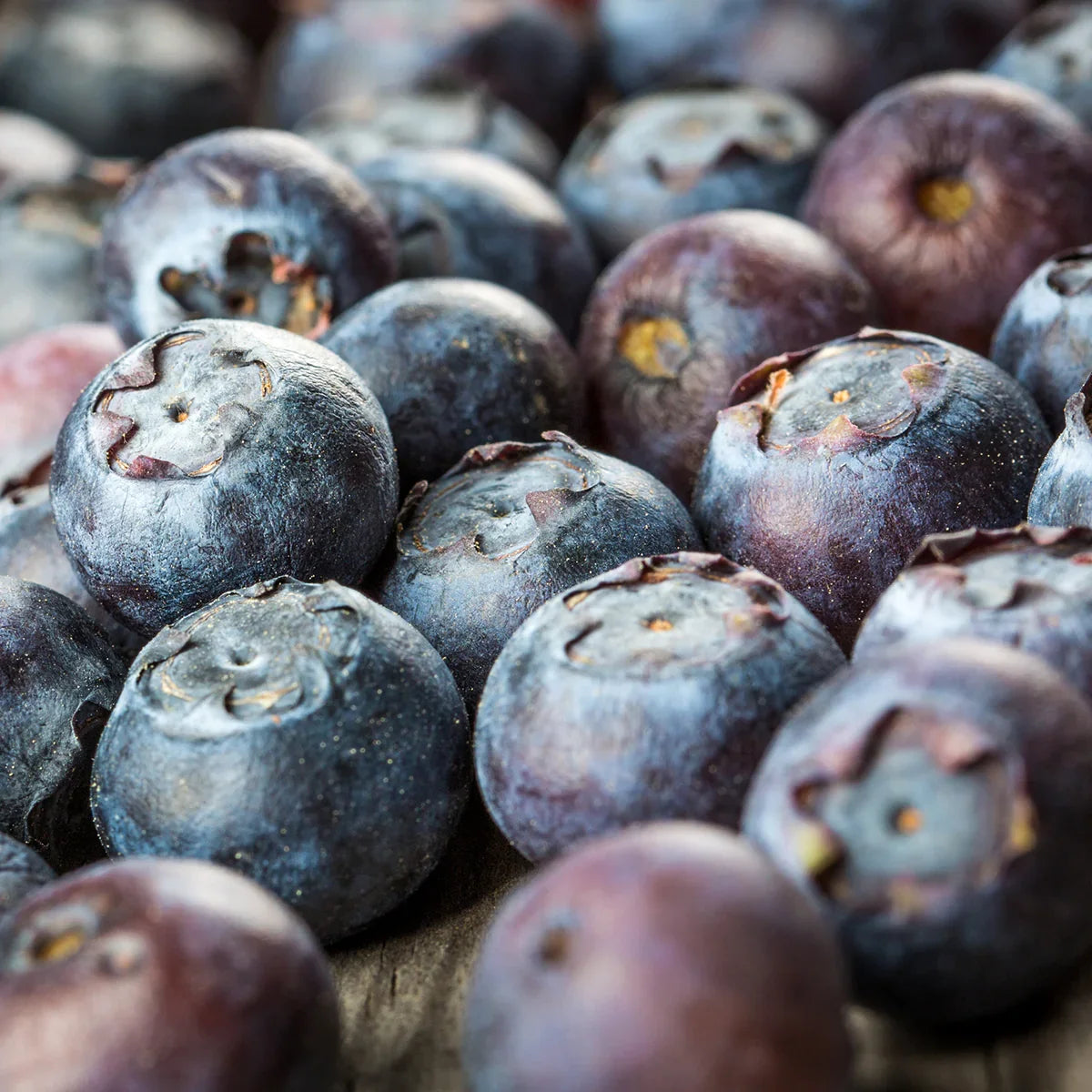 Mannavita Blueberry 100% pure pressed juice • 500 ml - Mannavita