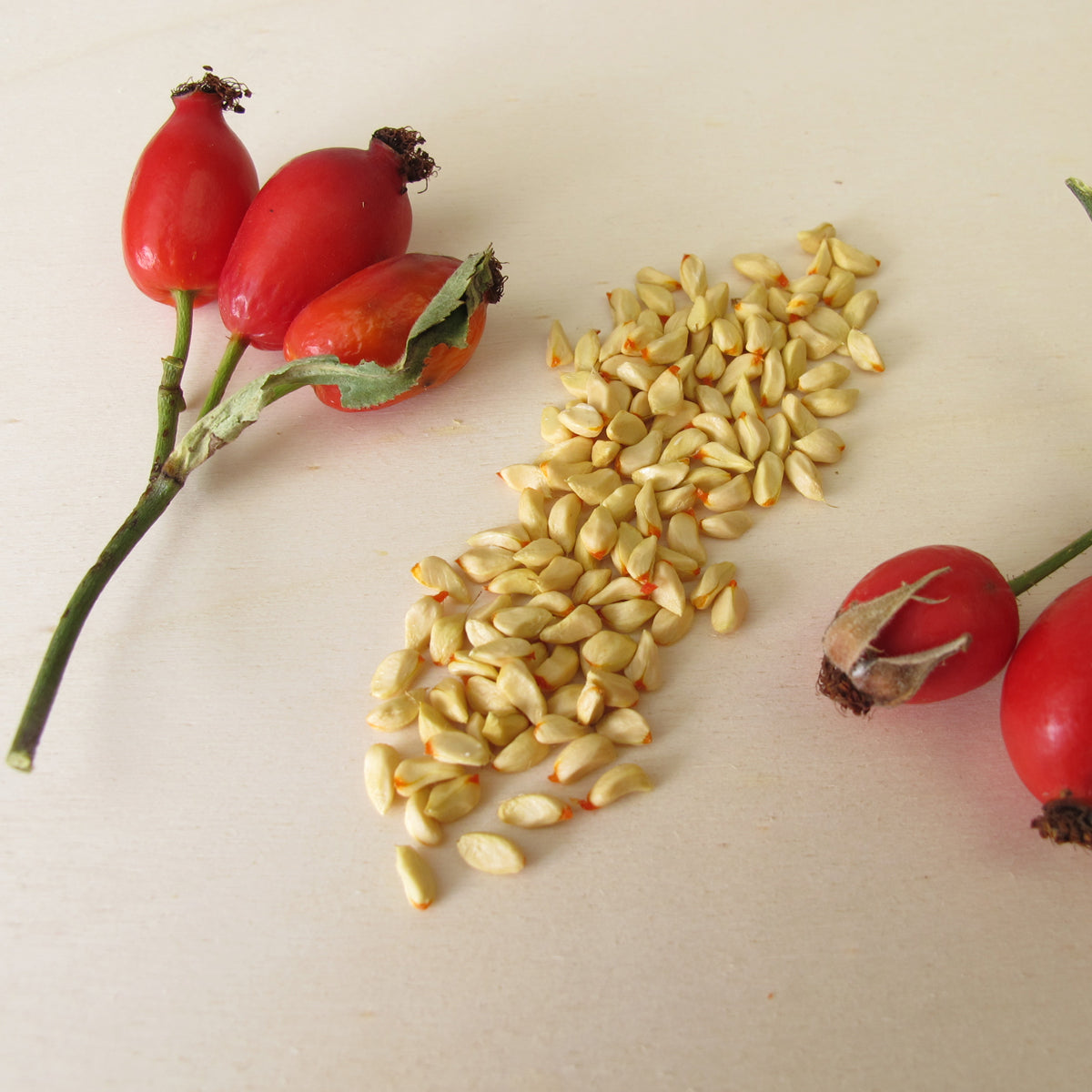 Mannavita maďarský za studena lisovaný olej ze semínek šípku • 40 ml