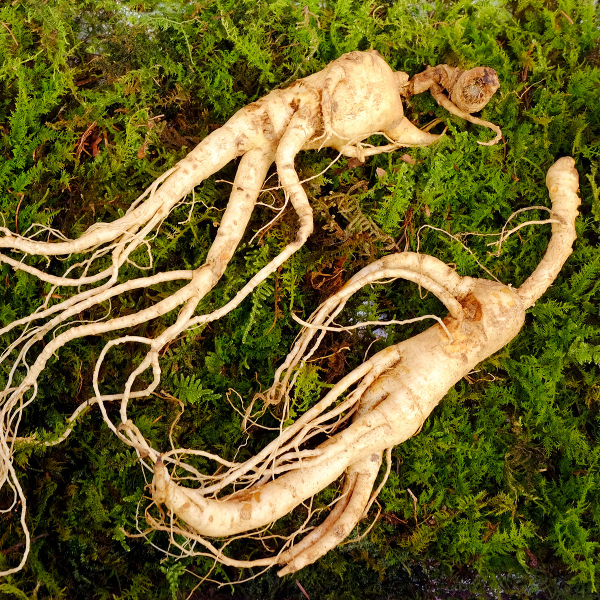 ENDOQIN mužská síla forte • 90 kapslí