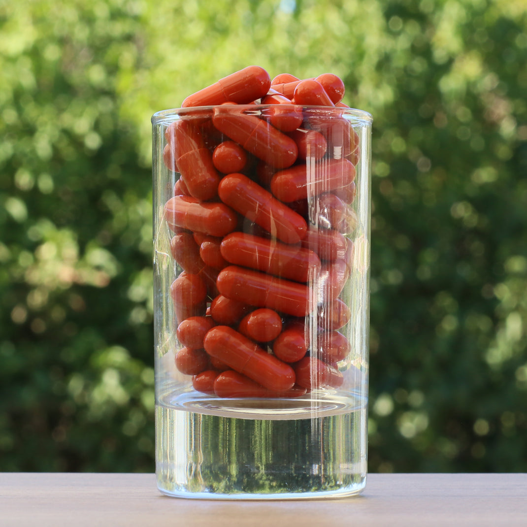 FEMNOX Mateří Kašička + Inositol + Kyselina listová + B12 komplex • 90 kapslí