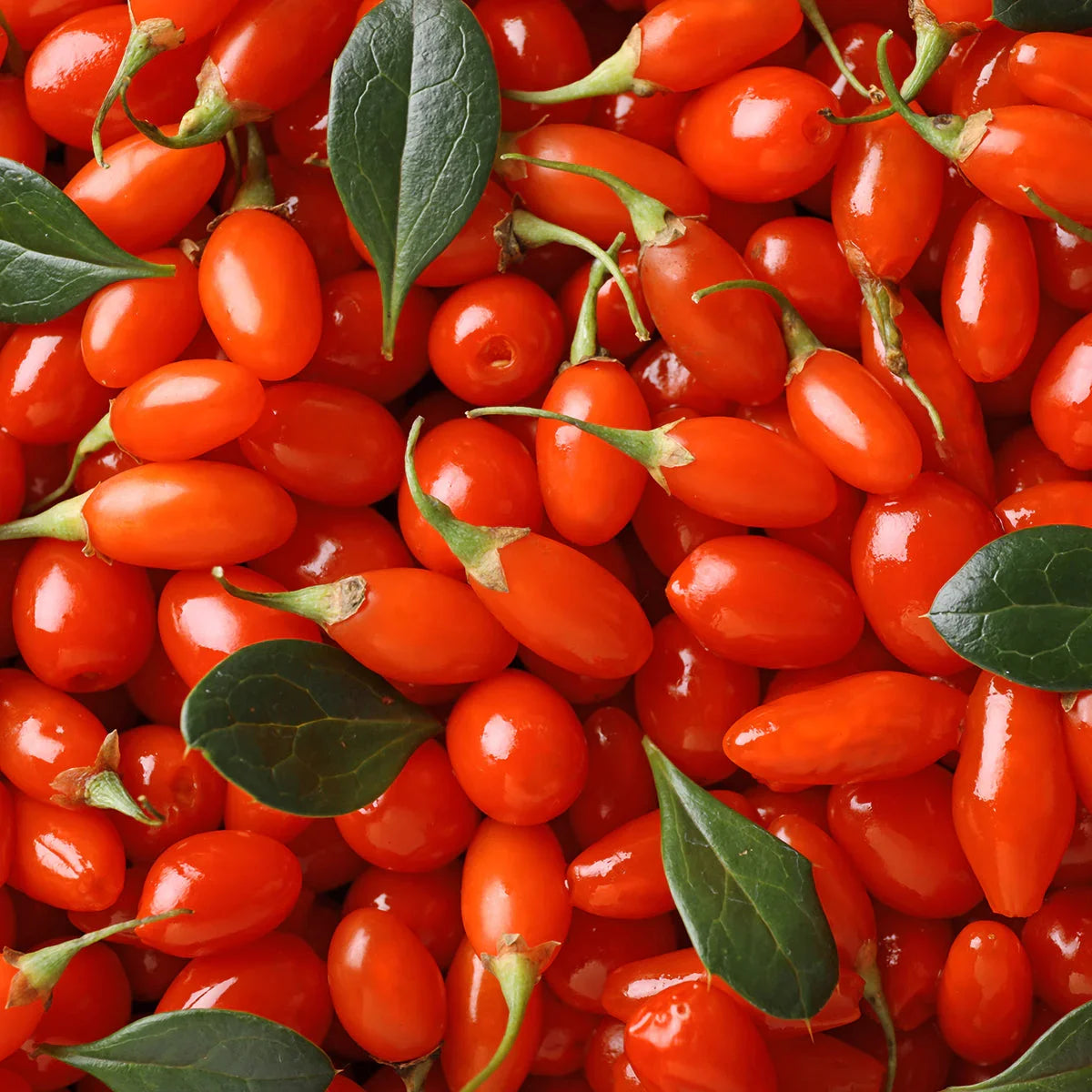 Mannavita Goji berry 100% pure pressed juice • 500 ml - Mannavita