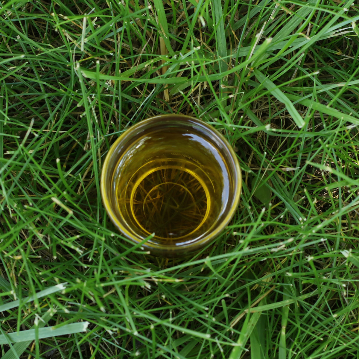 Mannavita maďarský za studena lisovaný olej z hroznových semínek • 250 ml