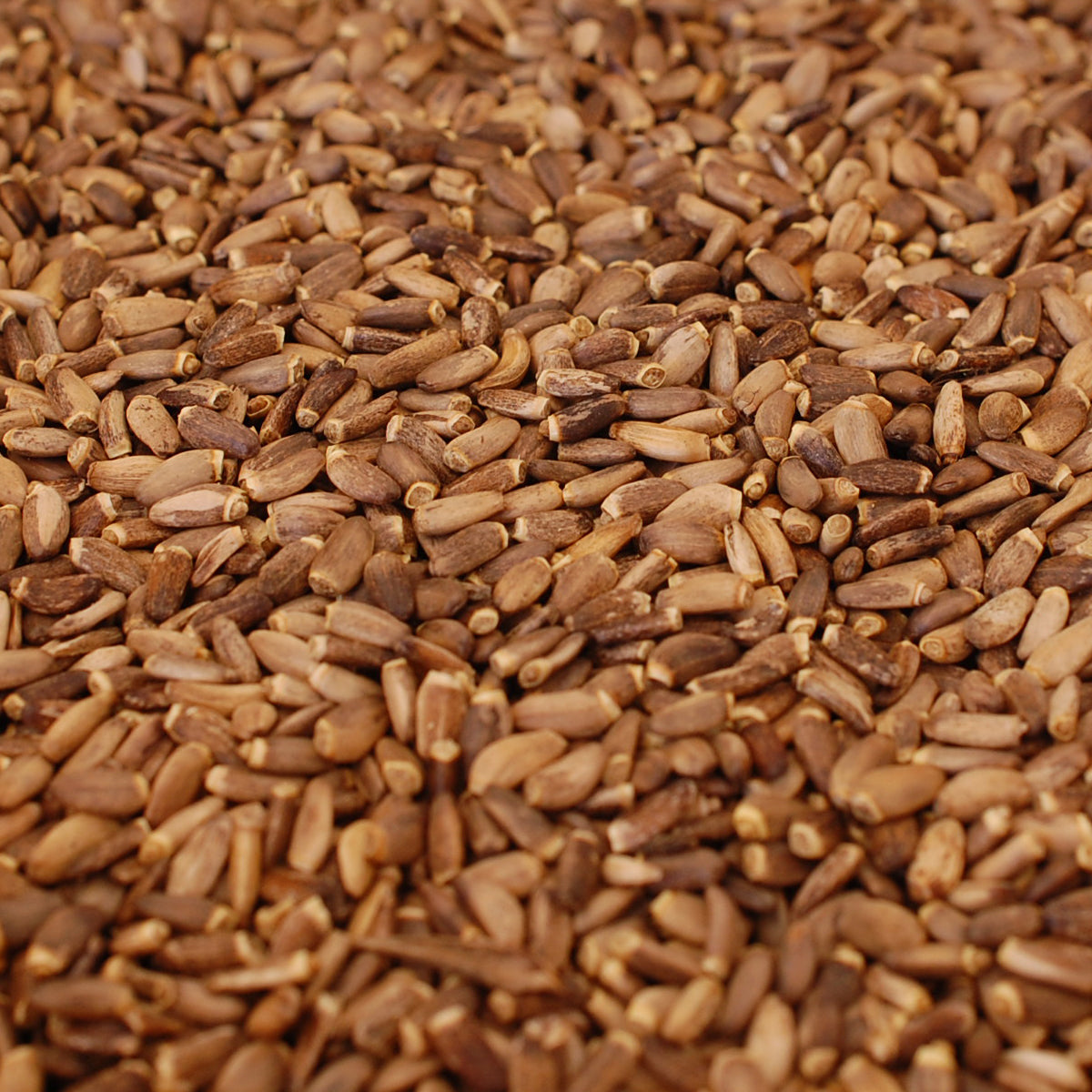 Mannavita Maďarský za studena lisovaný olej ze semen ostropestřce mariánského • 250 ml