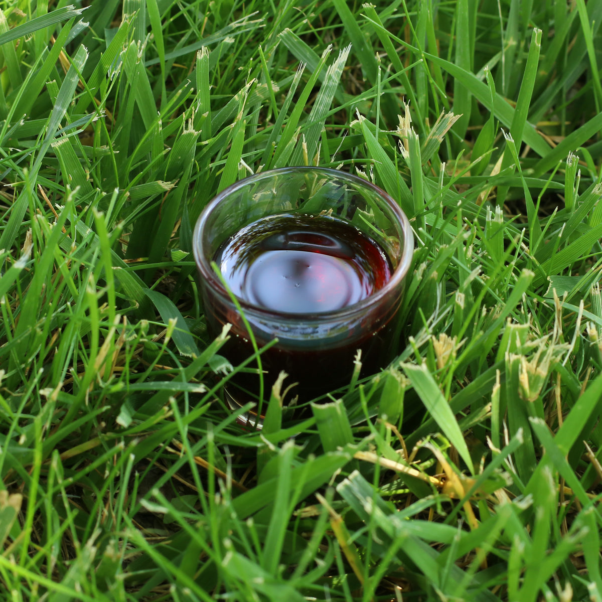 Mannavita maďarský za studena lisovaný dýňový olej • 250 ml