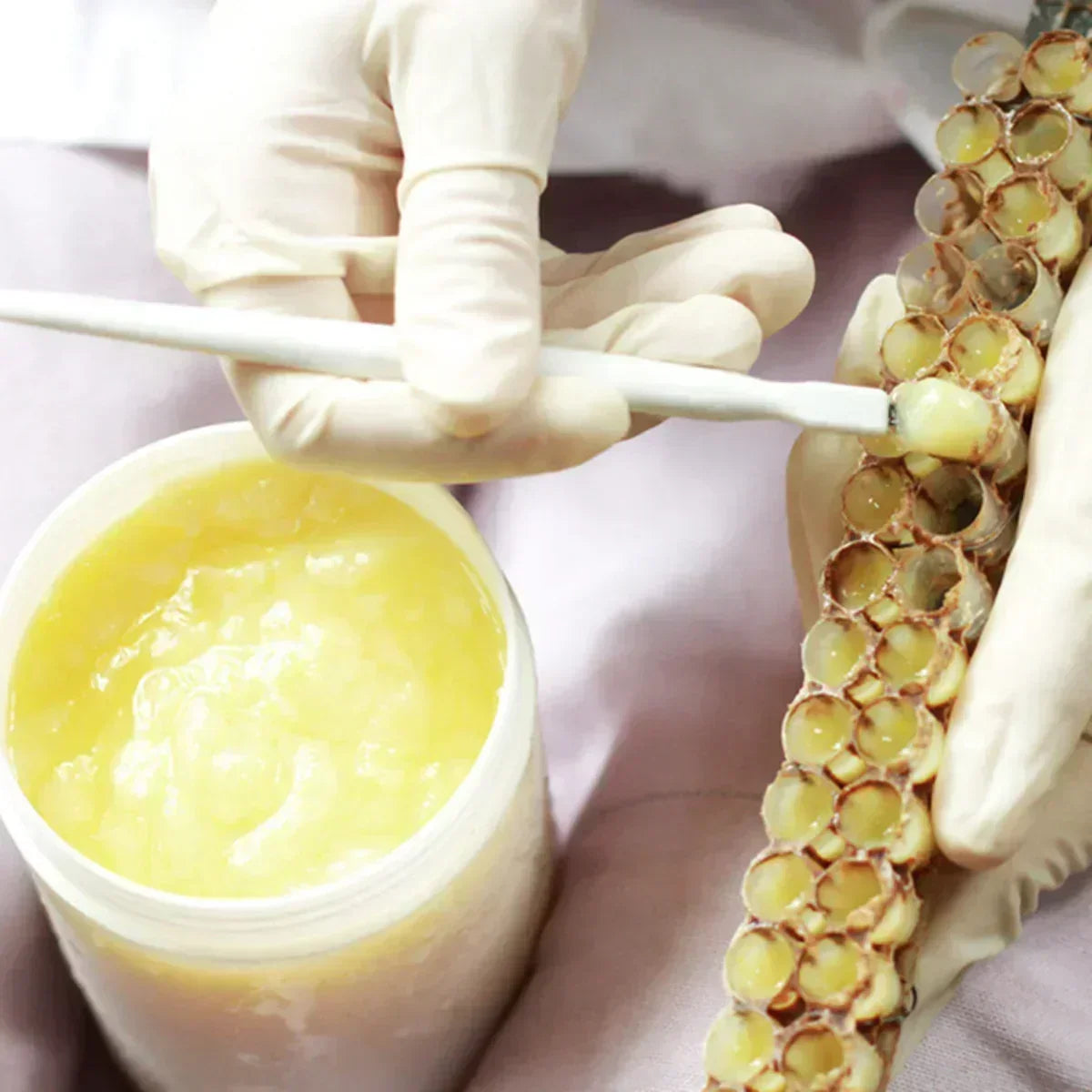 Mannavita Premium Royal jelly • 2.5% 10-HDA • 40g - Mannavita