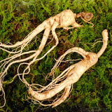 ENDOQIN mužská síla forte • 90 kapslí