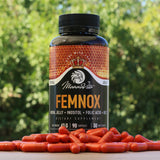 FEMNOX Mateří Kašička  + Inositol + Kyselina listová + B12 komplex • 90 kapslí