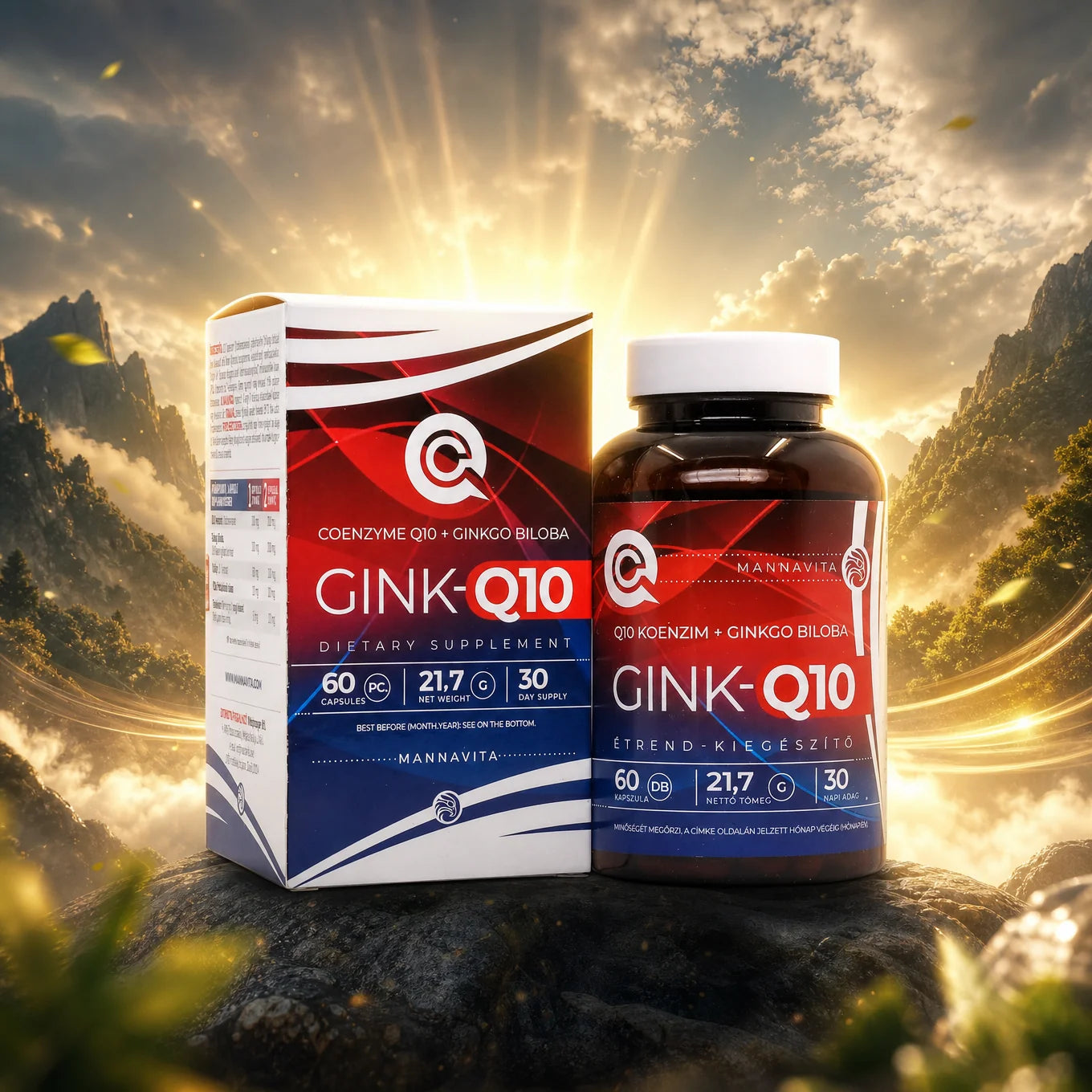 GINK-Q10 • Q10 Koenzym + komplex Ginkgo Biloba • 60 kapslí