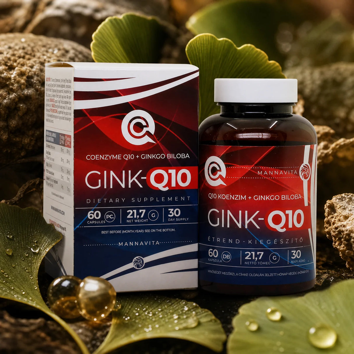 GINK-Q10 • Q10 Koenzym + komplex Ginkgo Biloba • 60 kapslí