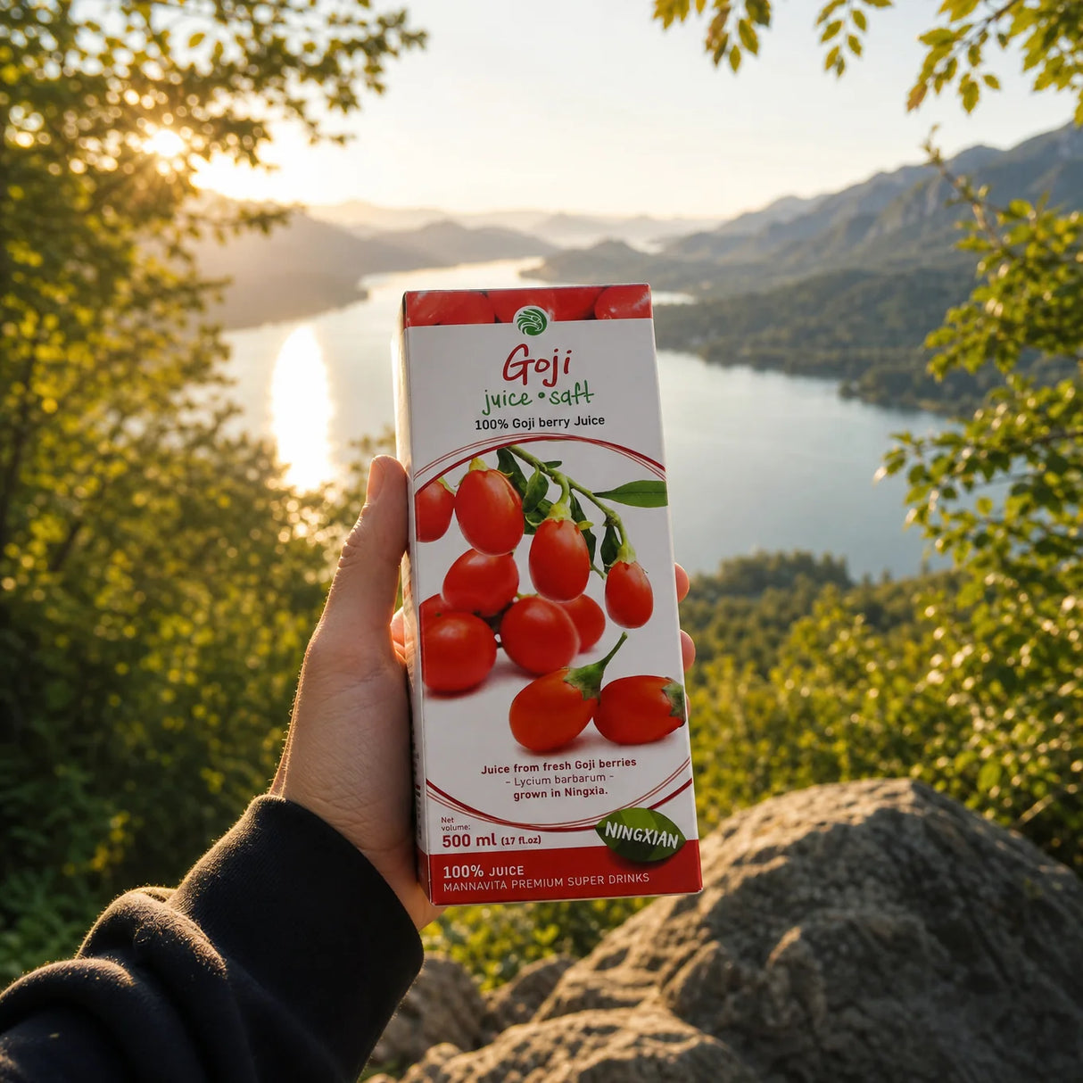 Mannavita Goji – 100% lisovaná čistá šťáva z Kustovnice čínské • 500 ml