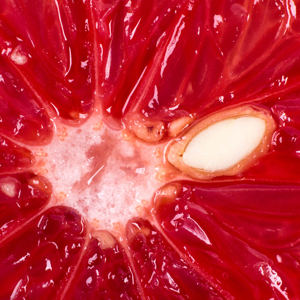 Mannavita Kapky z grepových semínek • 100 ml