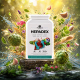 HEPADEX komplex pro regeneraci jater a zlepšení zdraví jater • 60 kapslí