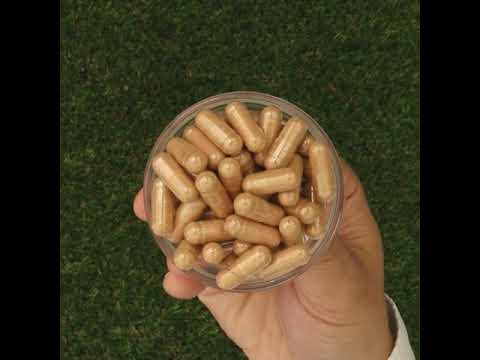 GINK-Q10 • Q10 Koenzym + komplex Ginkgo Biloba • 60 kapslí