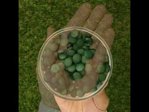 Mannavita Spirulina 500 mg tablety • 180 ks.