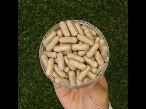 Mannavita Vitamín C komplex • 250 mg bioaktivní • 60 kapslí