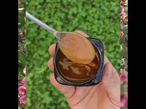 Melora Manukový med 700+ MGO™ UMF 18 • 250g