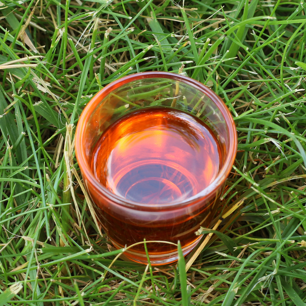 Mannavita maďarský za studena lisovaný olej ze semen rakytníku • 40 ml